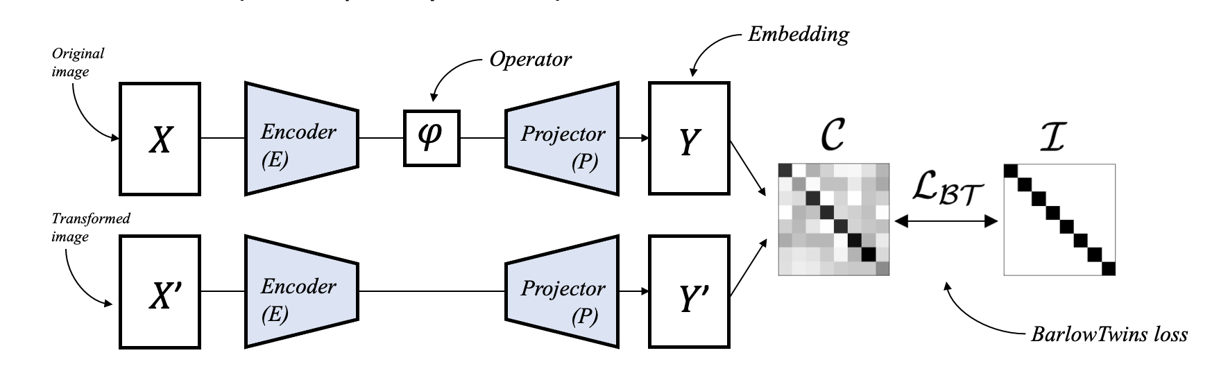 Self-supervised model utilizing learnable VAE and operators for reverting distortion
